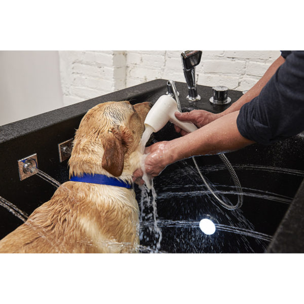 Die Microbubble Dog Cleaning & Grooming Station hilft, häufige Hautprobleme zu verhindern